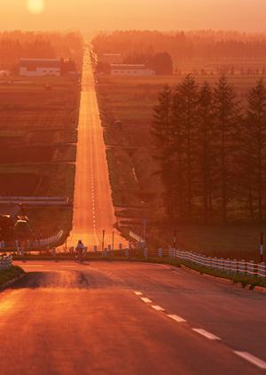 山善運輸機工はどんな重量物運搬も対応を