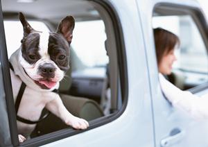 どうせ車検するなら少しでも安い所を選ぼう