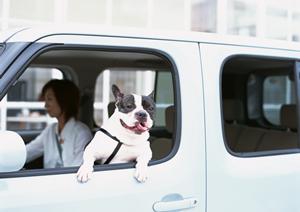 車検即日でさらに安い車検のコバック