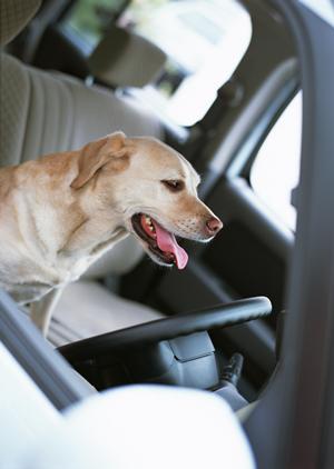 気軽に利用できる車検を目指して