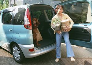 おすすめの合宿免許を案内しています